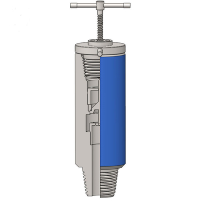 buy Forging Inside BOP Valve Spare Parts API 7-1 5000psi -15000psi online manufacturer