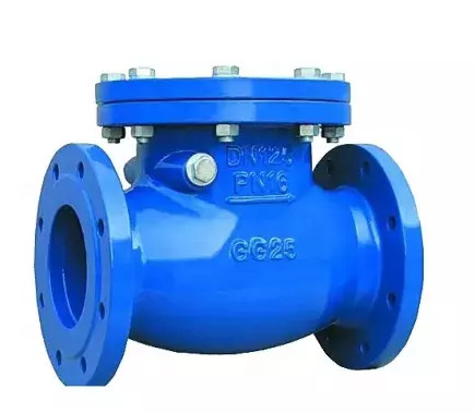 DN80 Manifold Control Valve Swing Check Valve With Flanged Ends