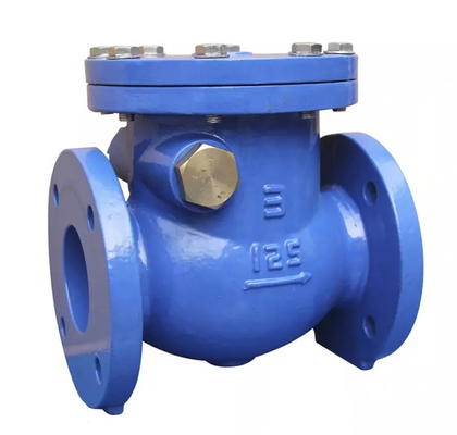 DN80 Manifold Control Valve Swing Check Valve With Flanged Ends