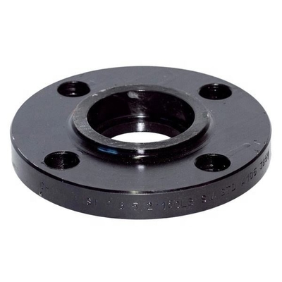 Oilfield Forged Flange Blind Plate Stainless Steel 304 / 316 / 304L / 316L